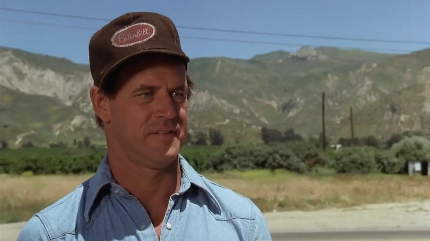 Ah, Geoffrey Lewis, one of my favorite character actors. I’m glad he got to play a regular guy who courts a pretty woman and does right by her — you know, basically wins for once. (Although the initial meet-cute is kinda weird.)